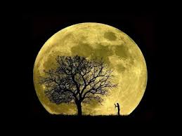luna-orto-semina.jpg
