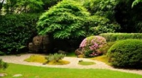 Allestimento giardino N1 Allestimento giardino N1