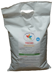 Trichio bianco