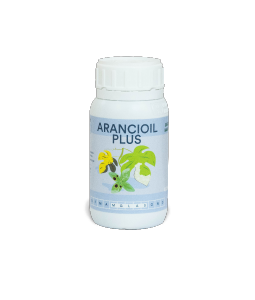 Arancioil