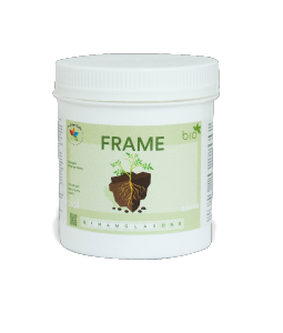 FRAME 500gr